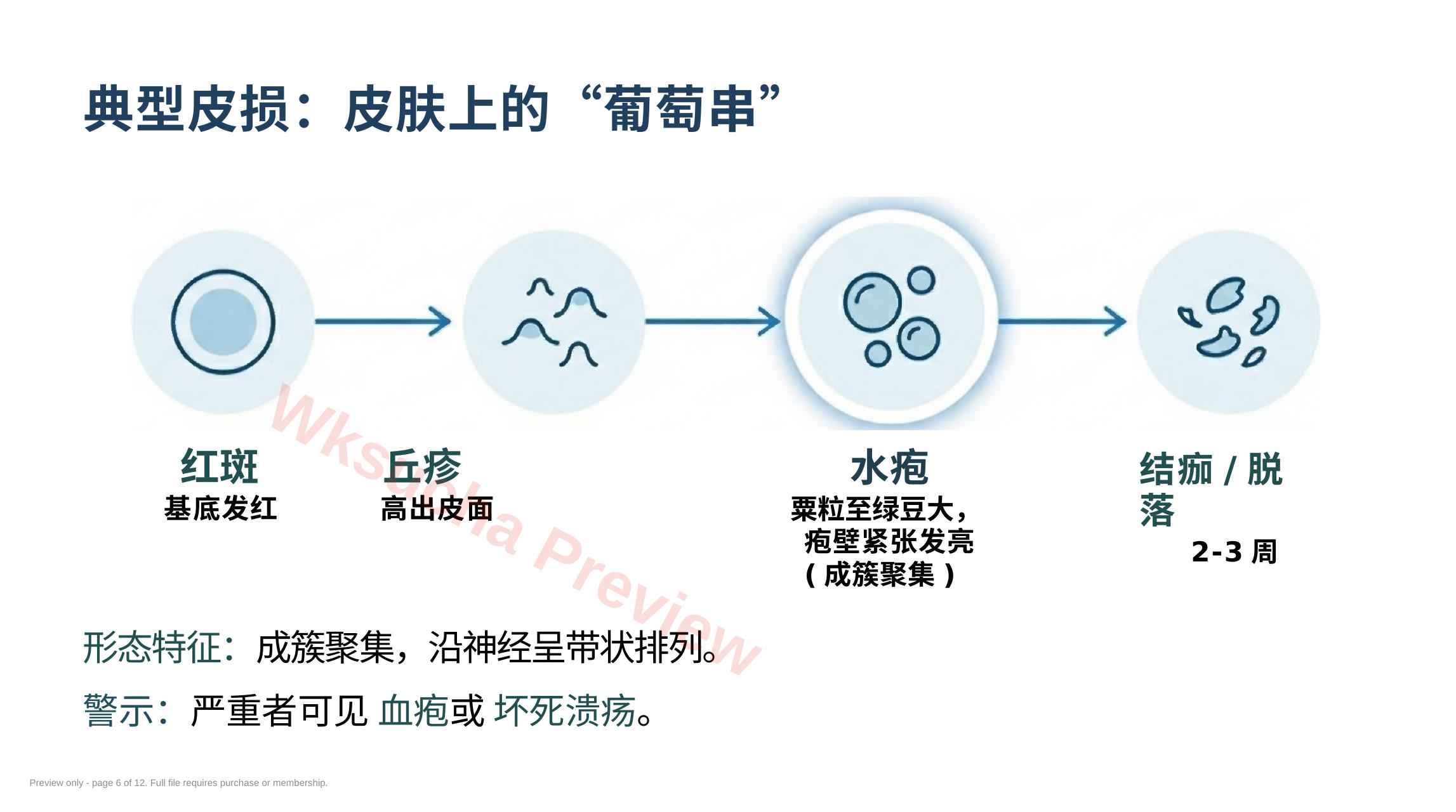 预览第 6 页