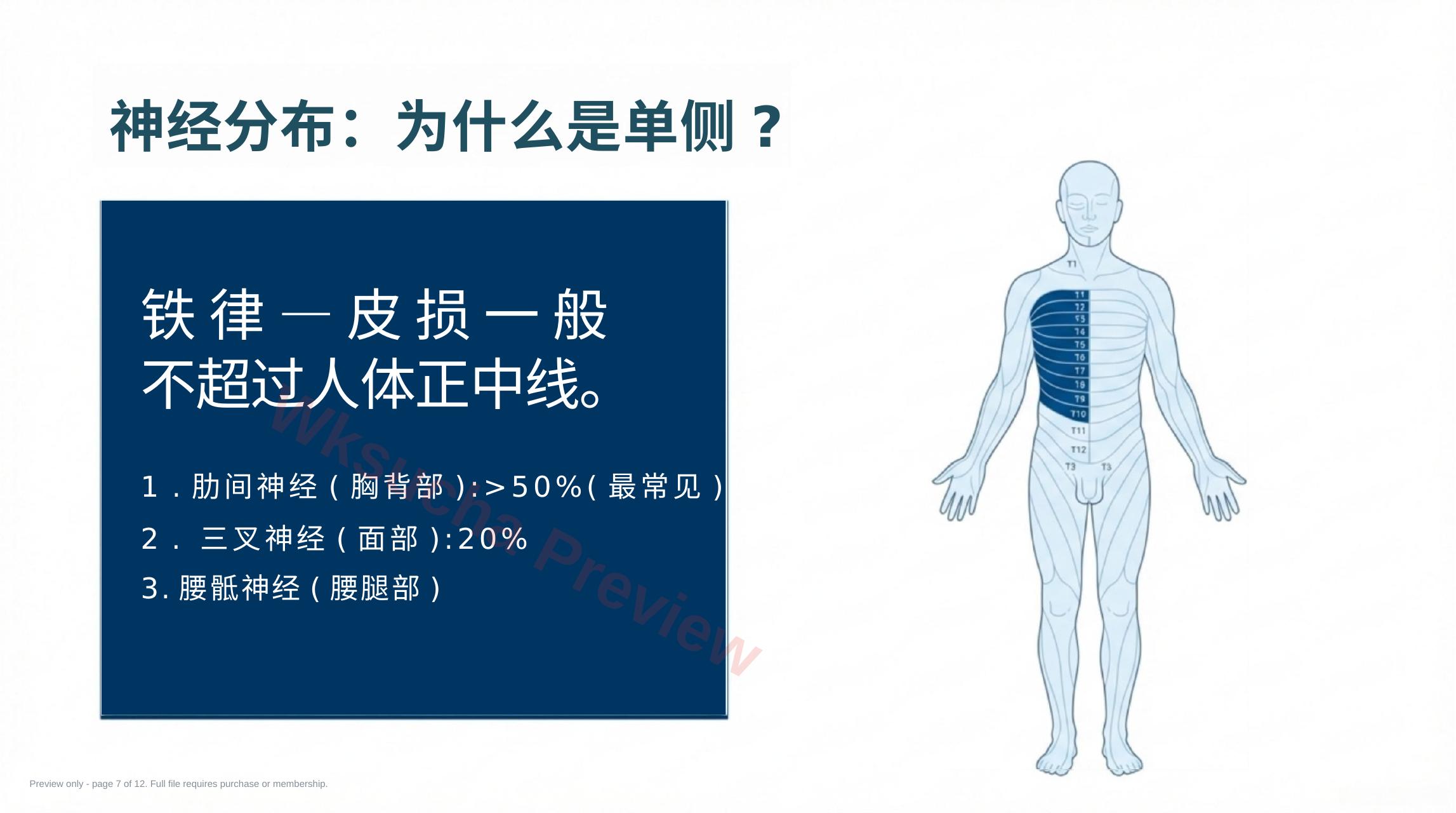 预览第 7 页