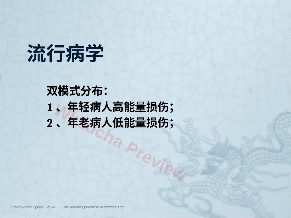 预览第 2 页