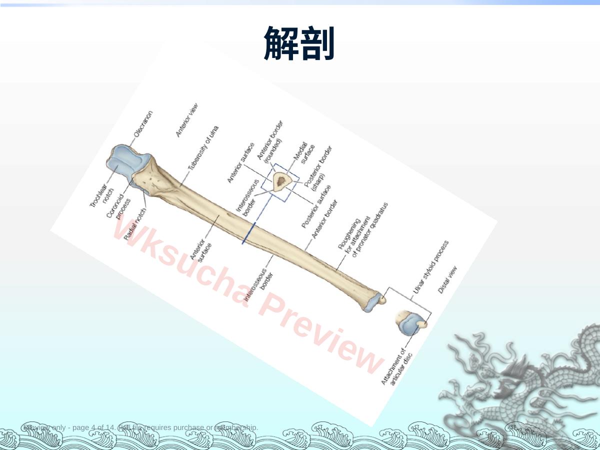 预览第 4 页