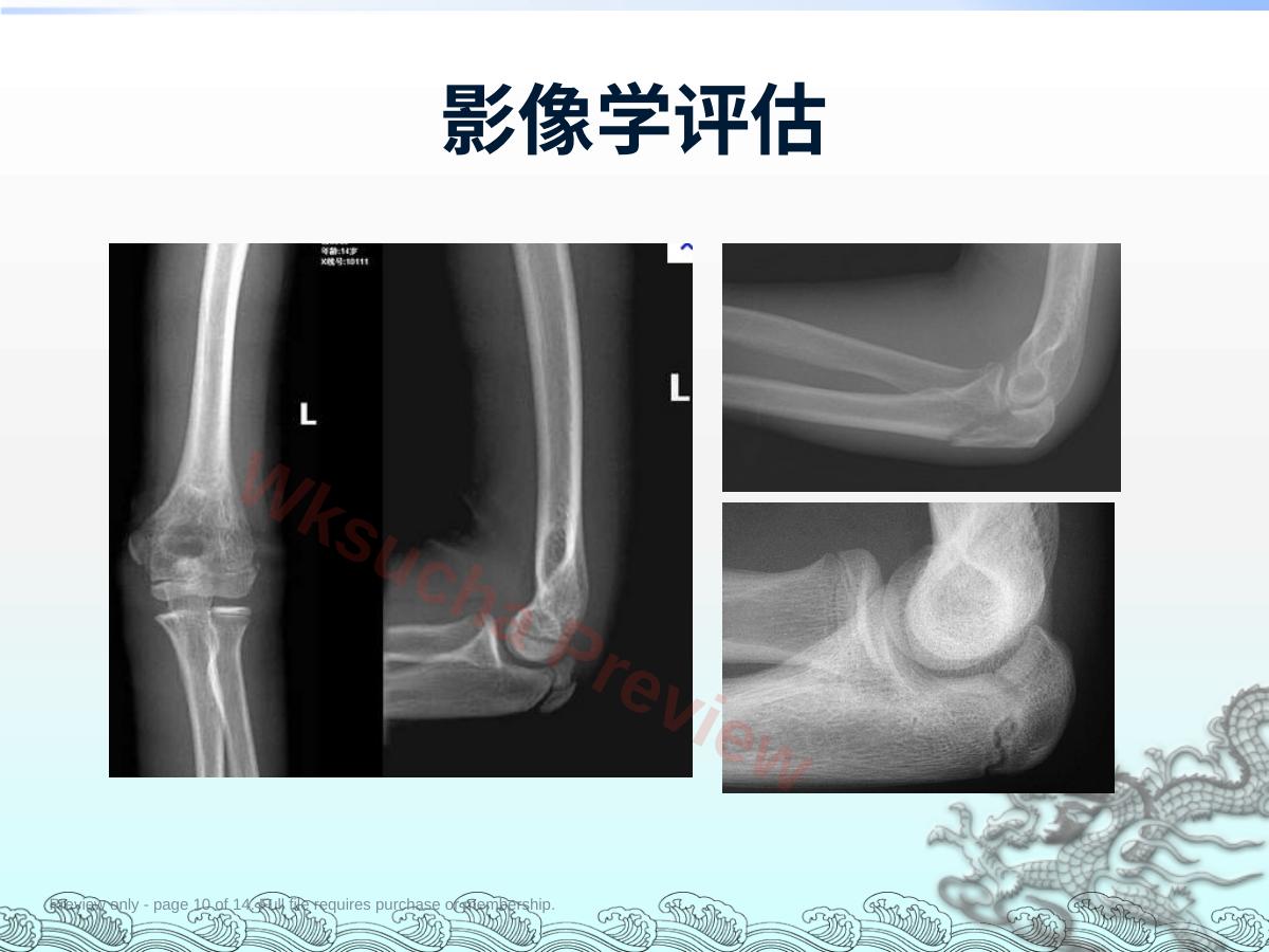 预览第 10 页