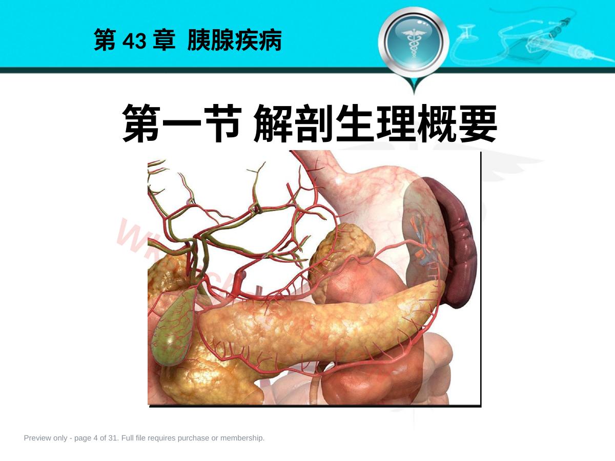 预览第 4 页