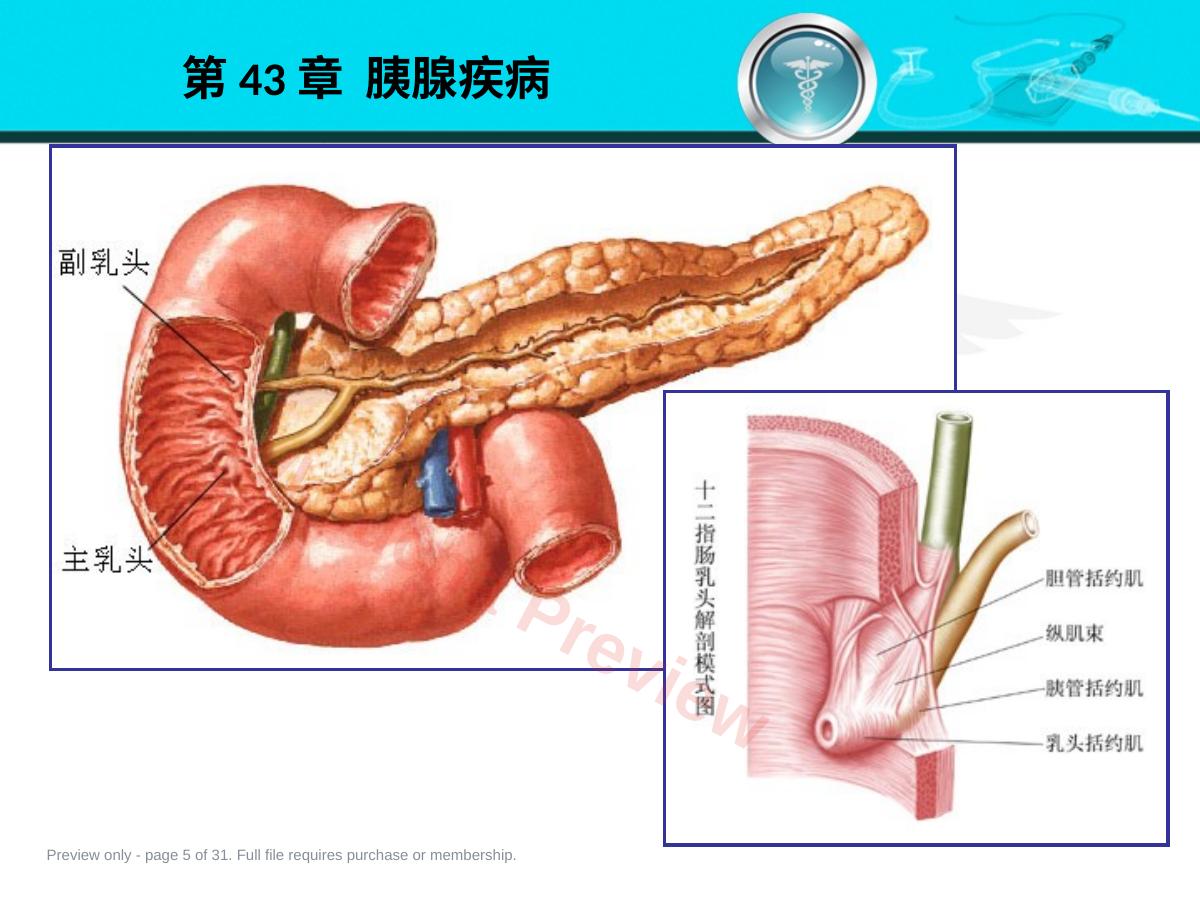 预览第 5 页