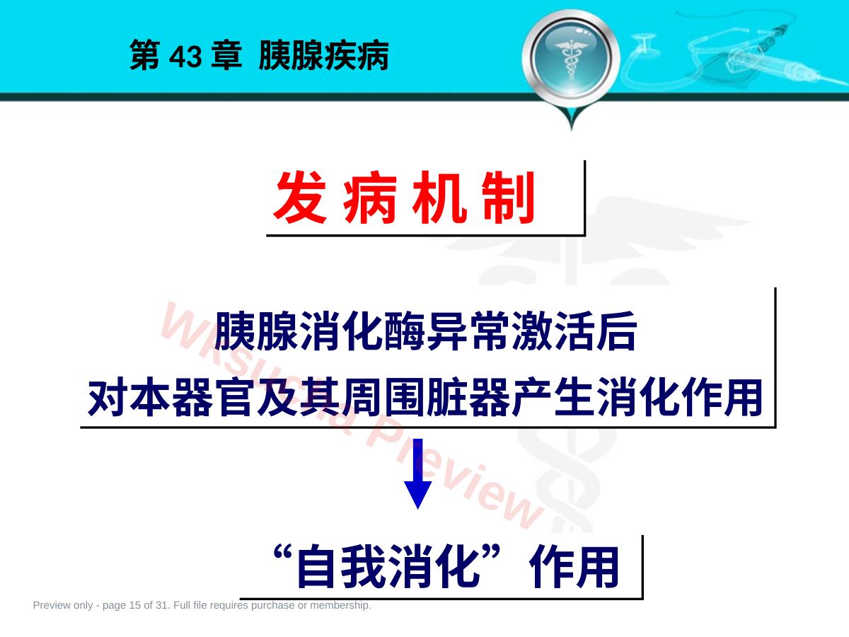 预览第 15 页