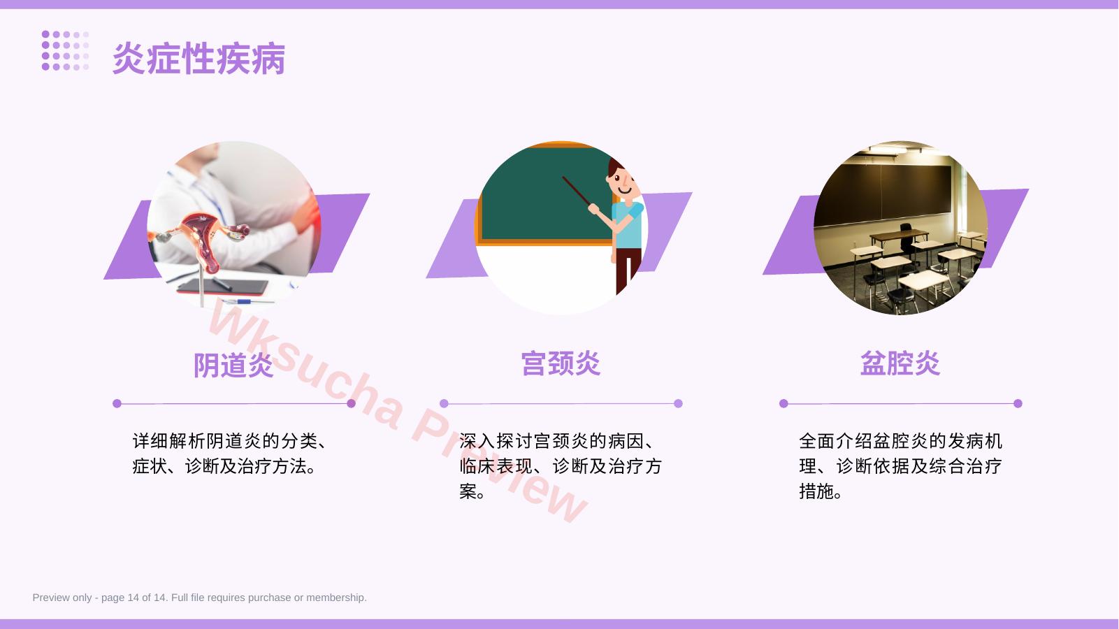 预览第 14 页