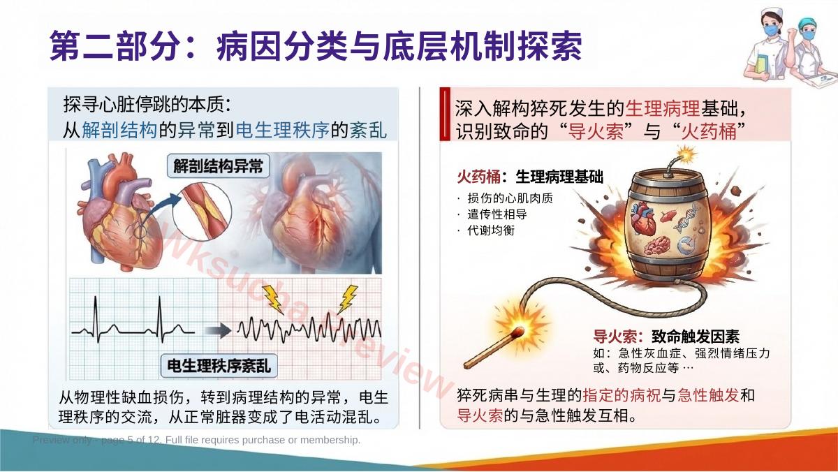 预览第 5 页