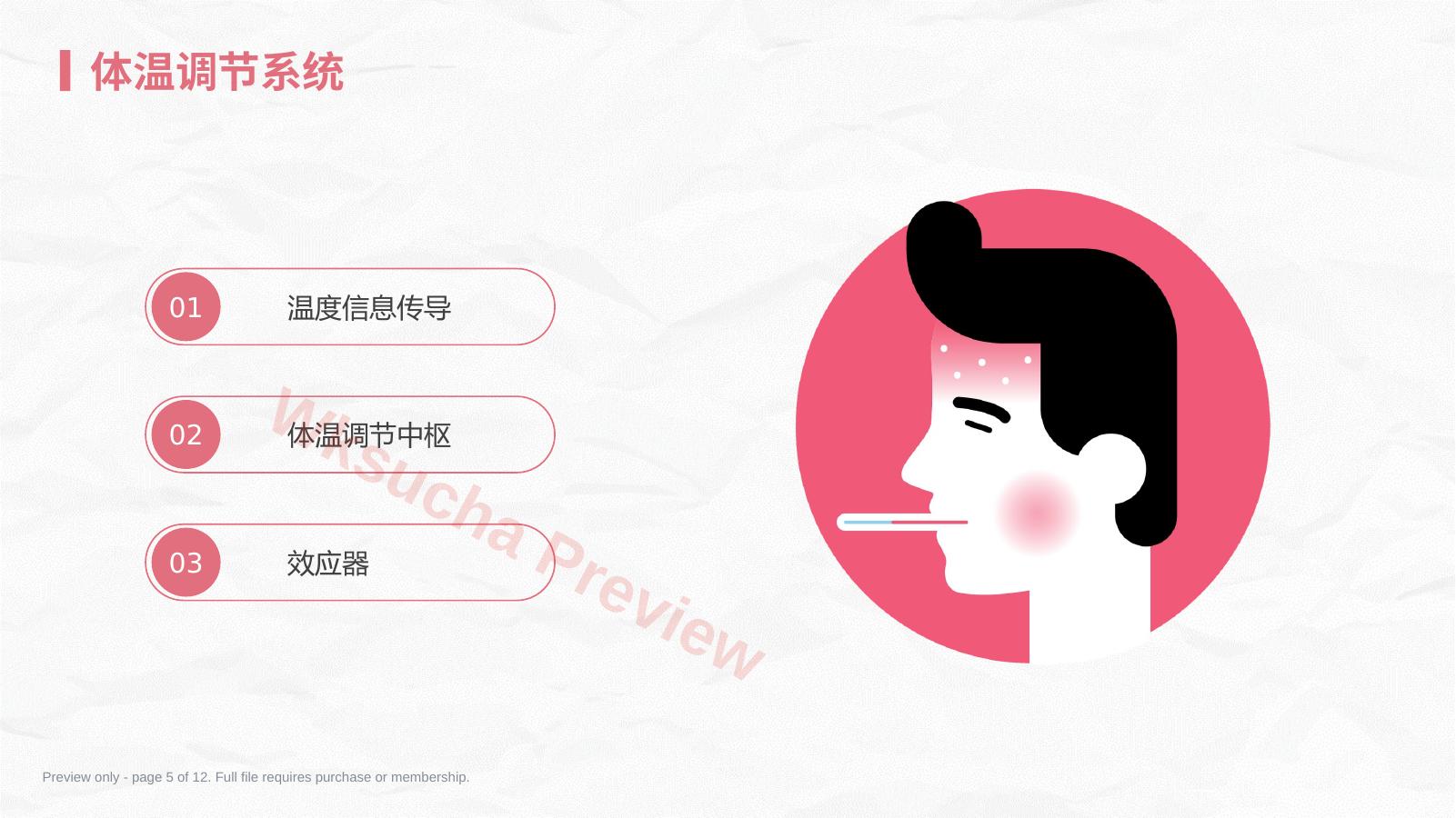 预览第 5 页