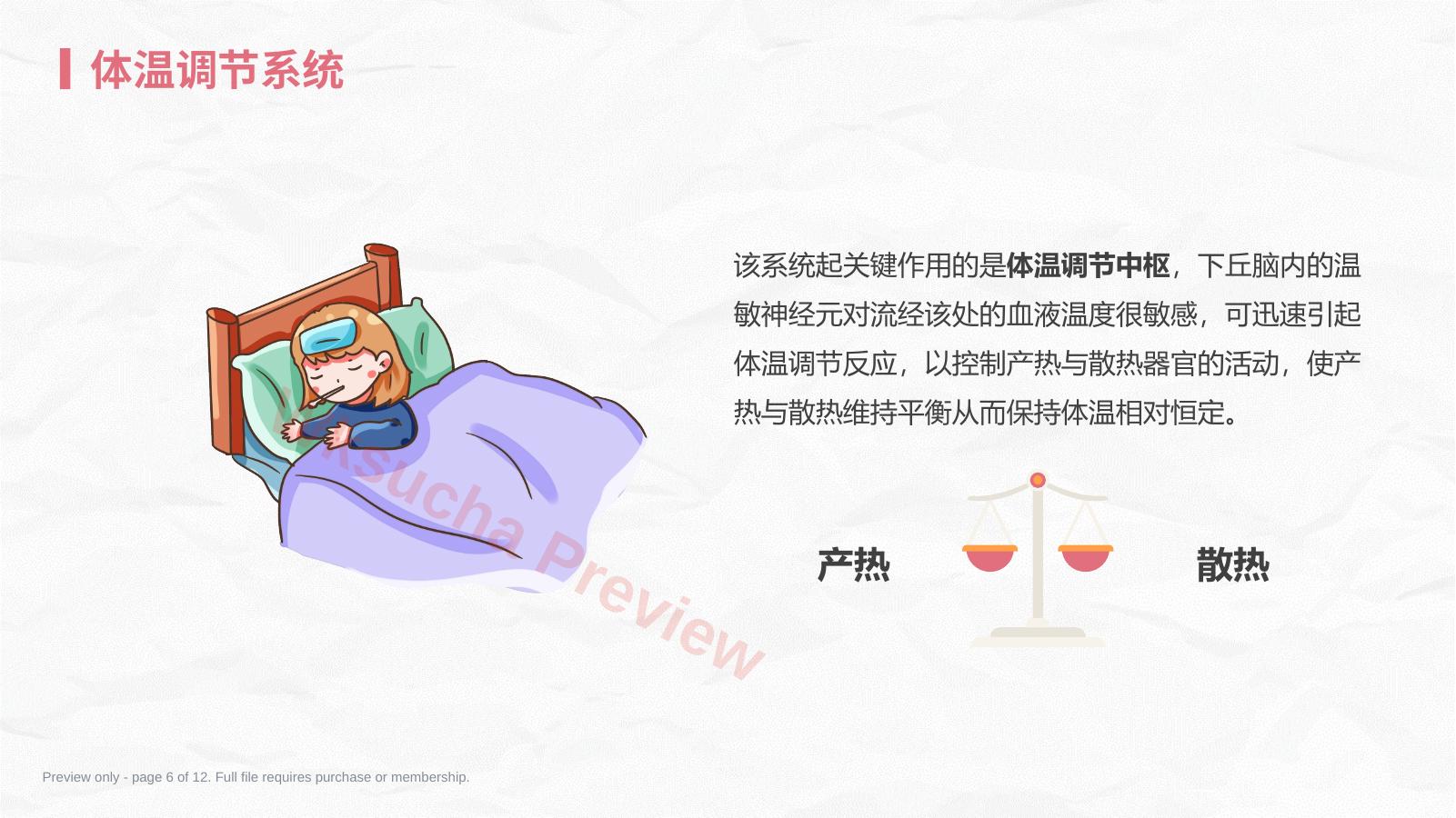 预览第 6 页