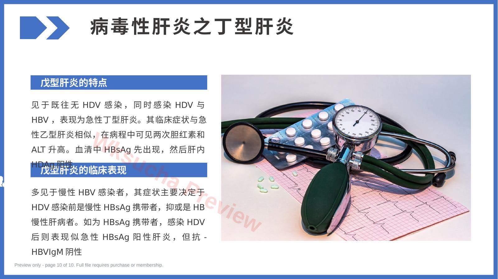 预览第 10 页