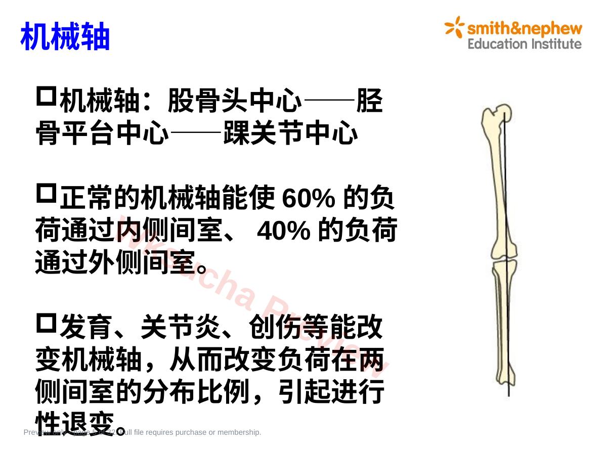 预览第 5 页