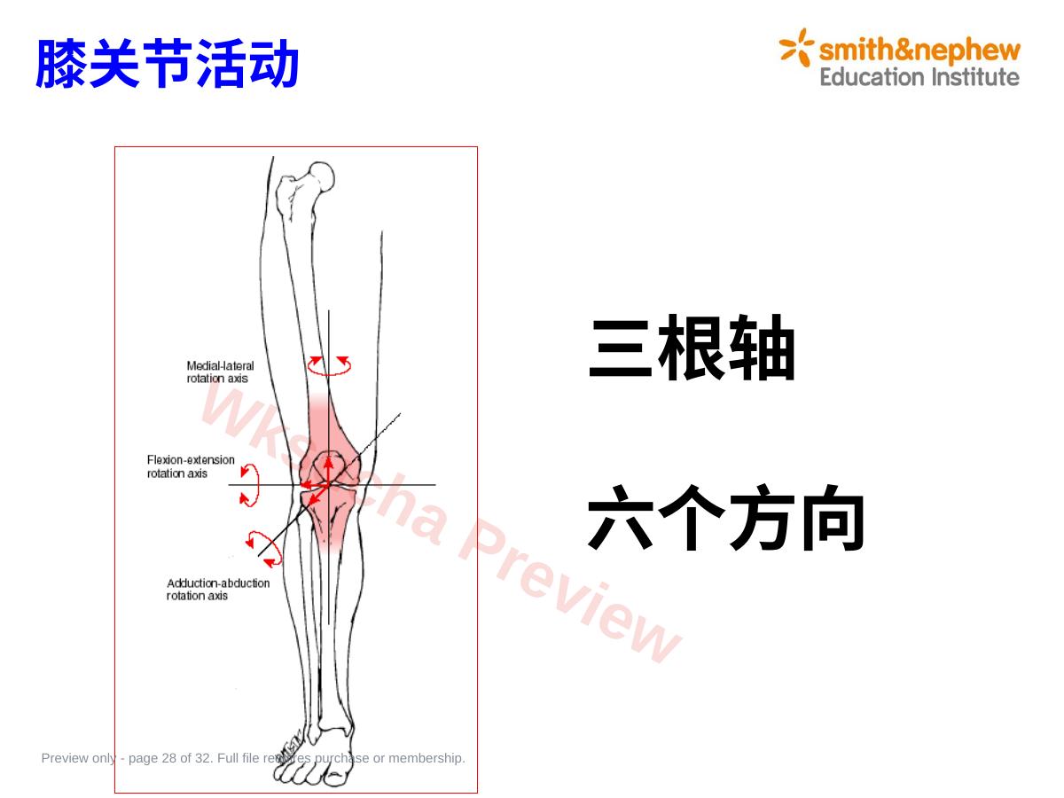 预览第 28 页