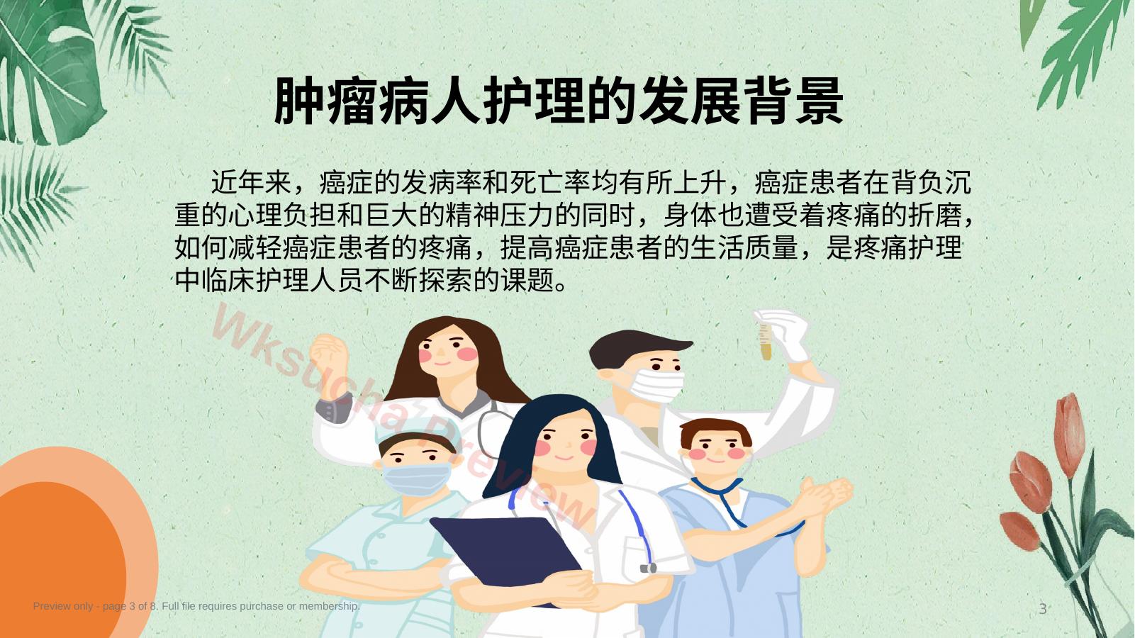 预览第 3 页
