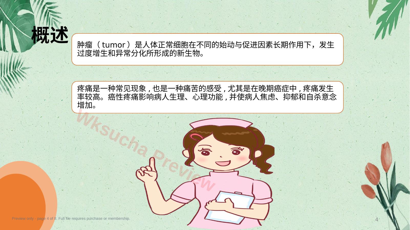 预览第 4 页