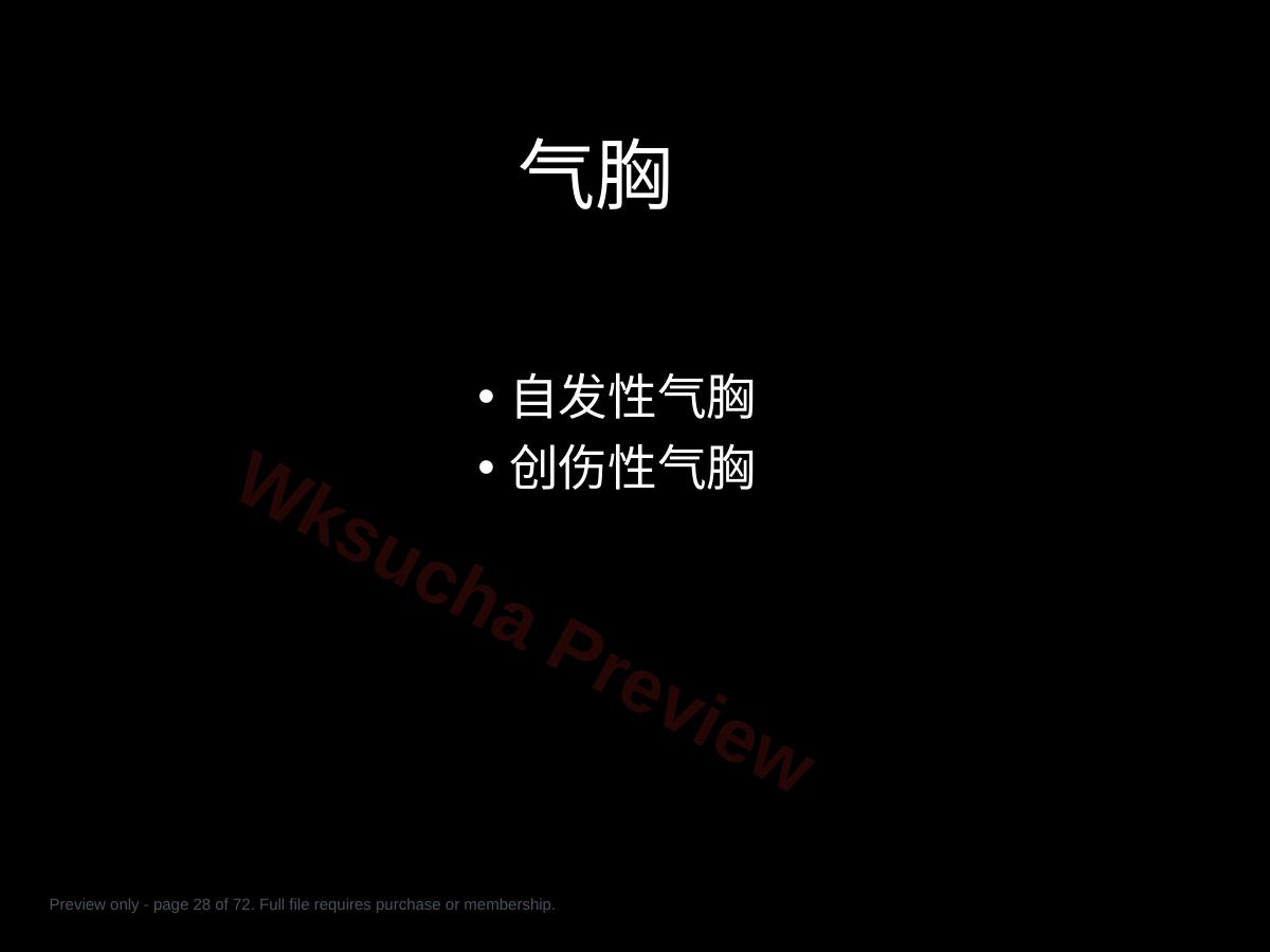 预览第 28 页