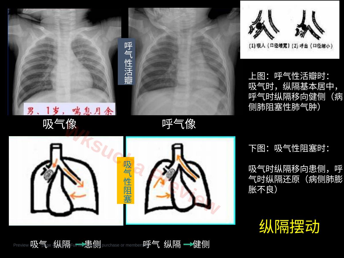 预览第 45 页