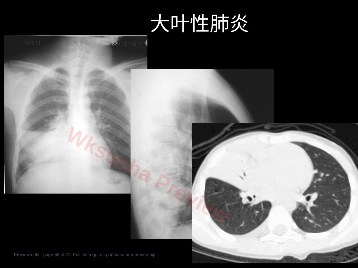 预览第 55 页
