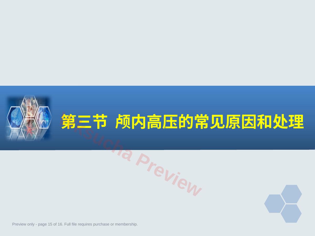 预览第 15 页