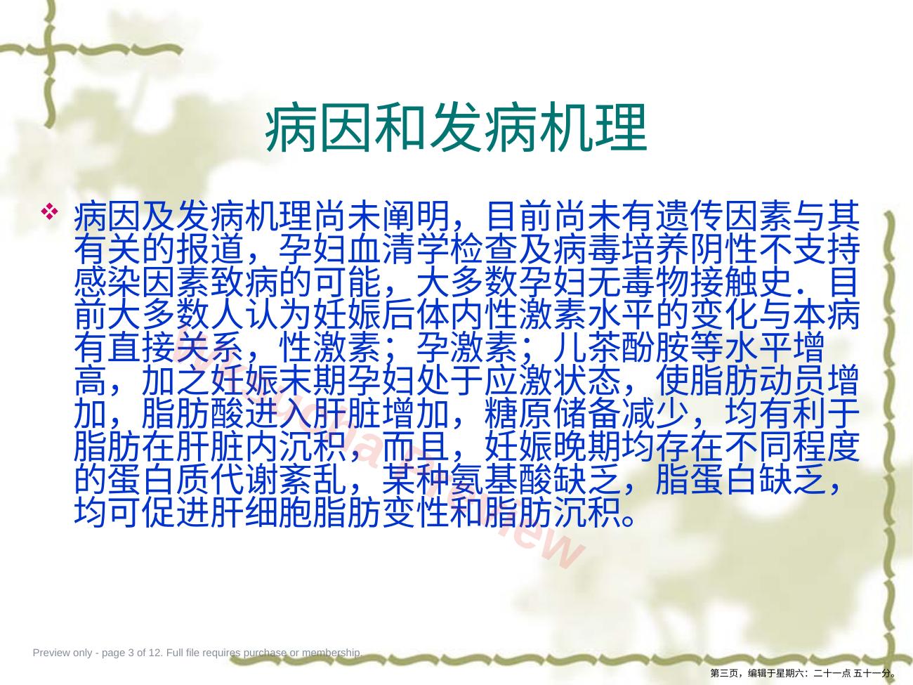 预览第 3 页