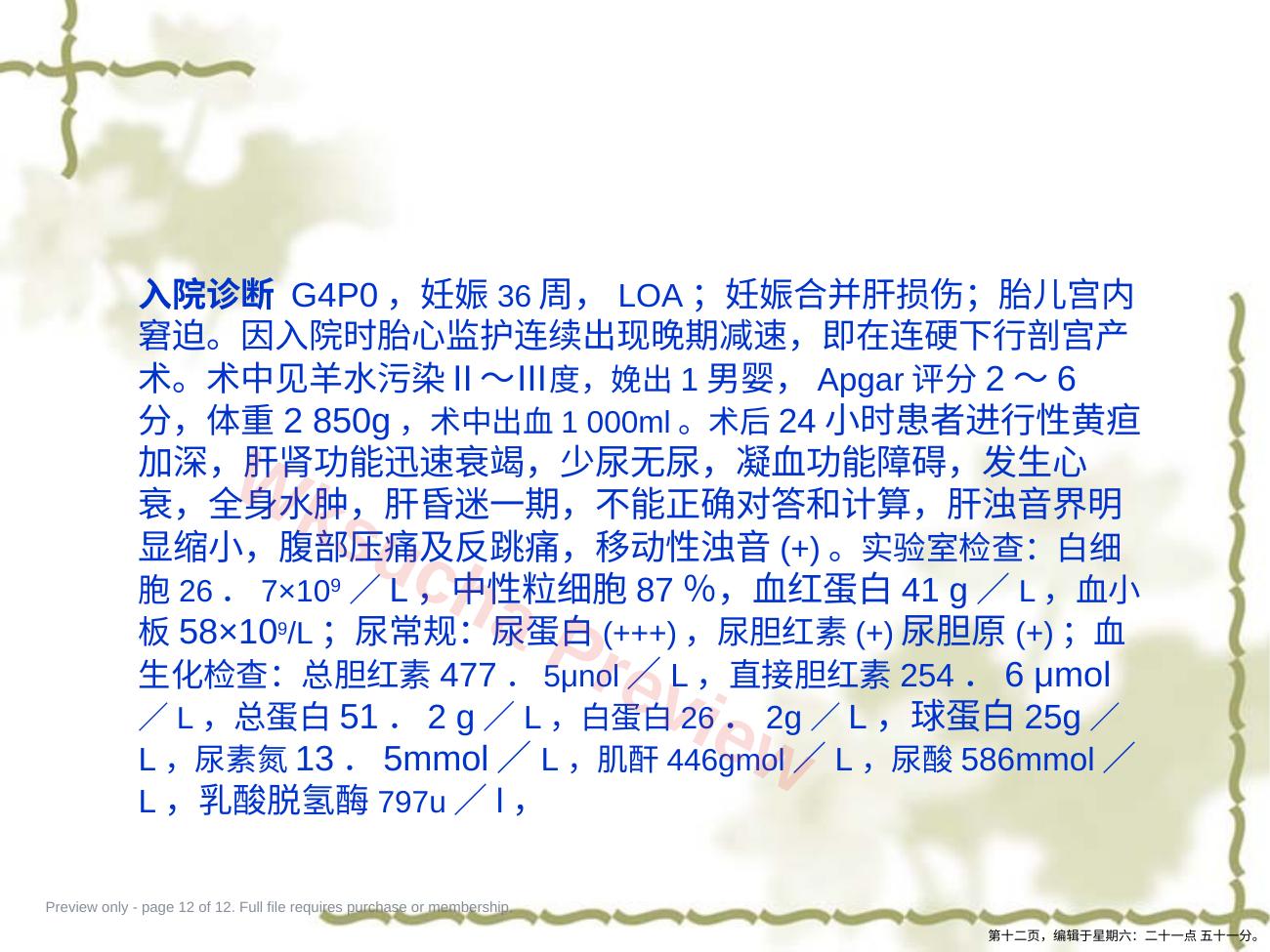预览第 12 页