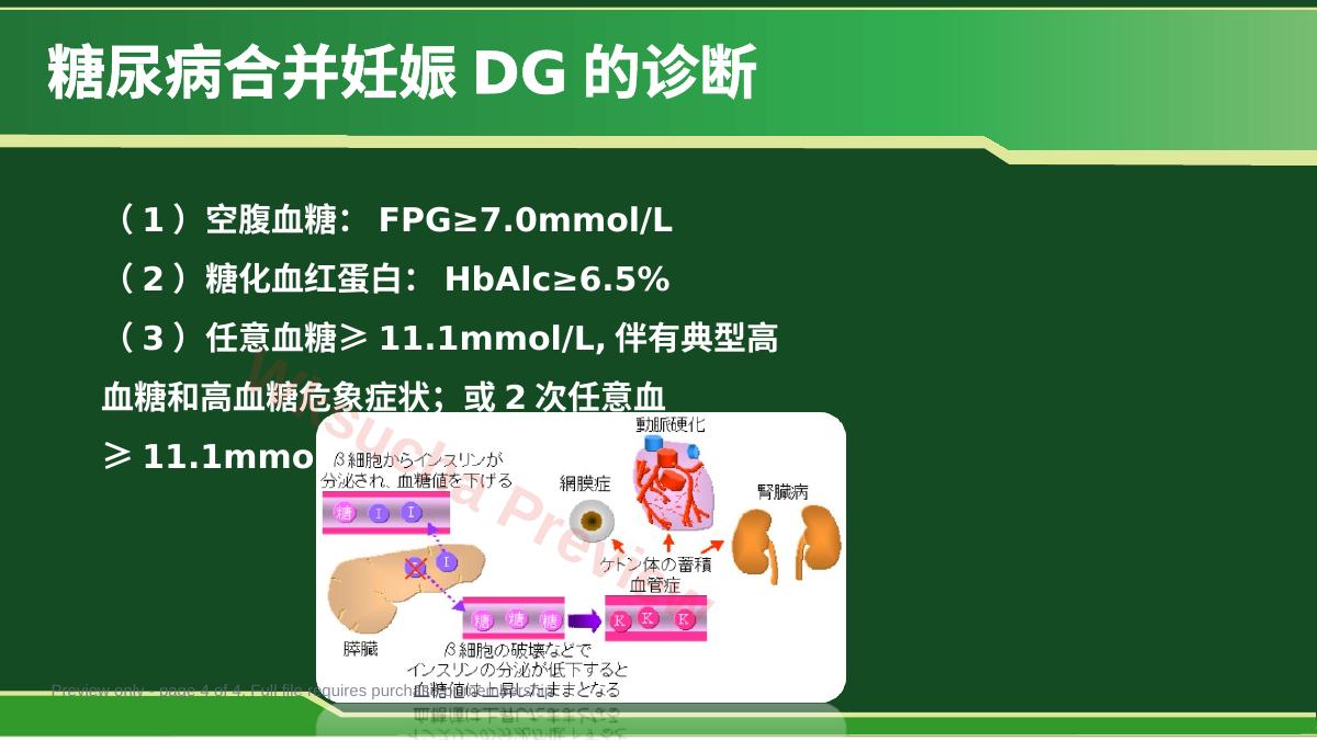 预览第 4 页