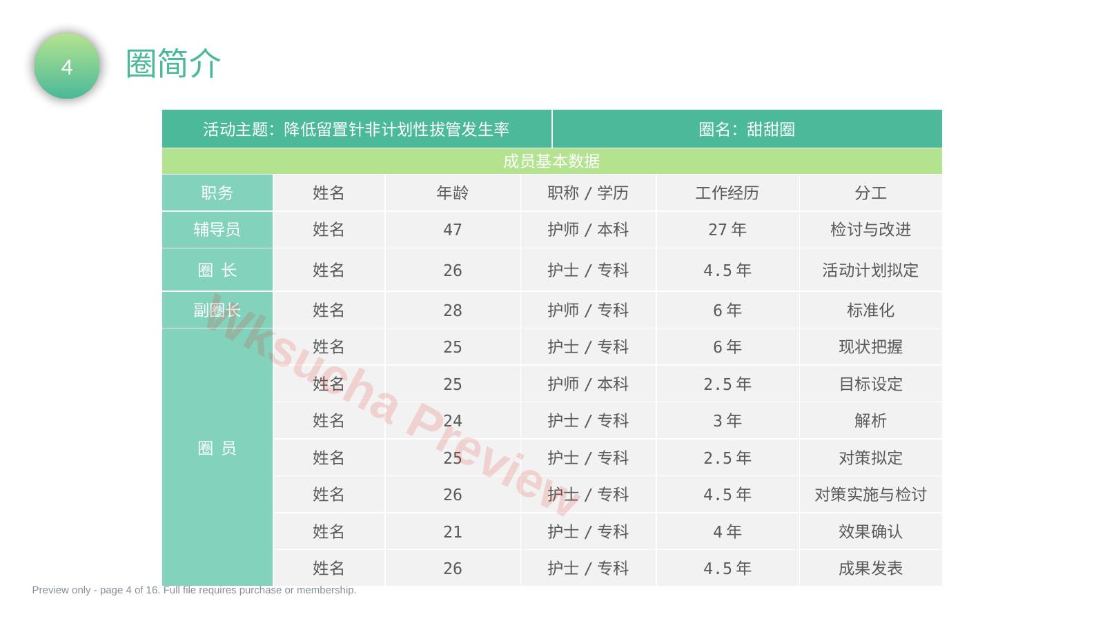 预览第 4 页