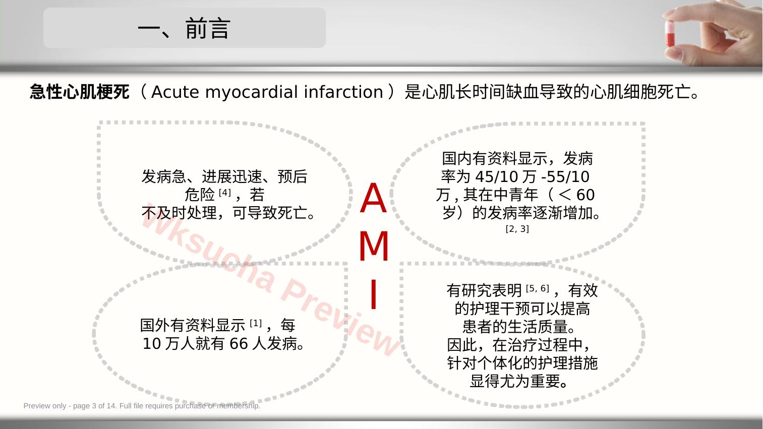 预览第 3 页