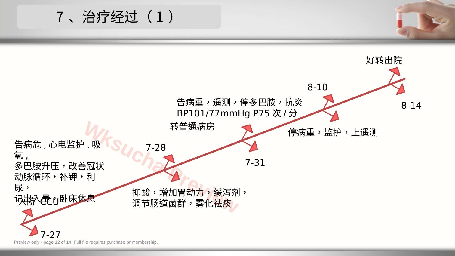 预览第 12 页