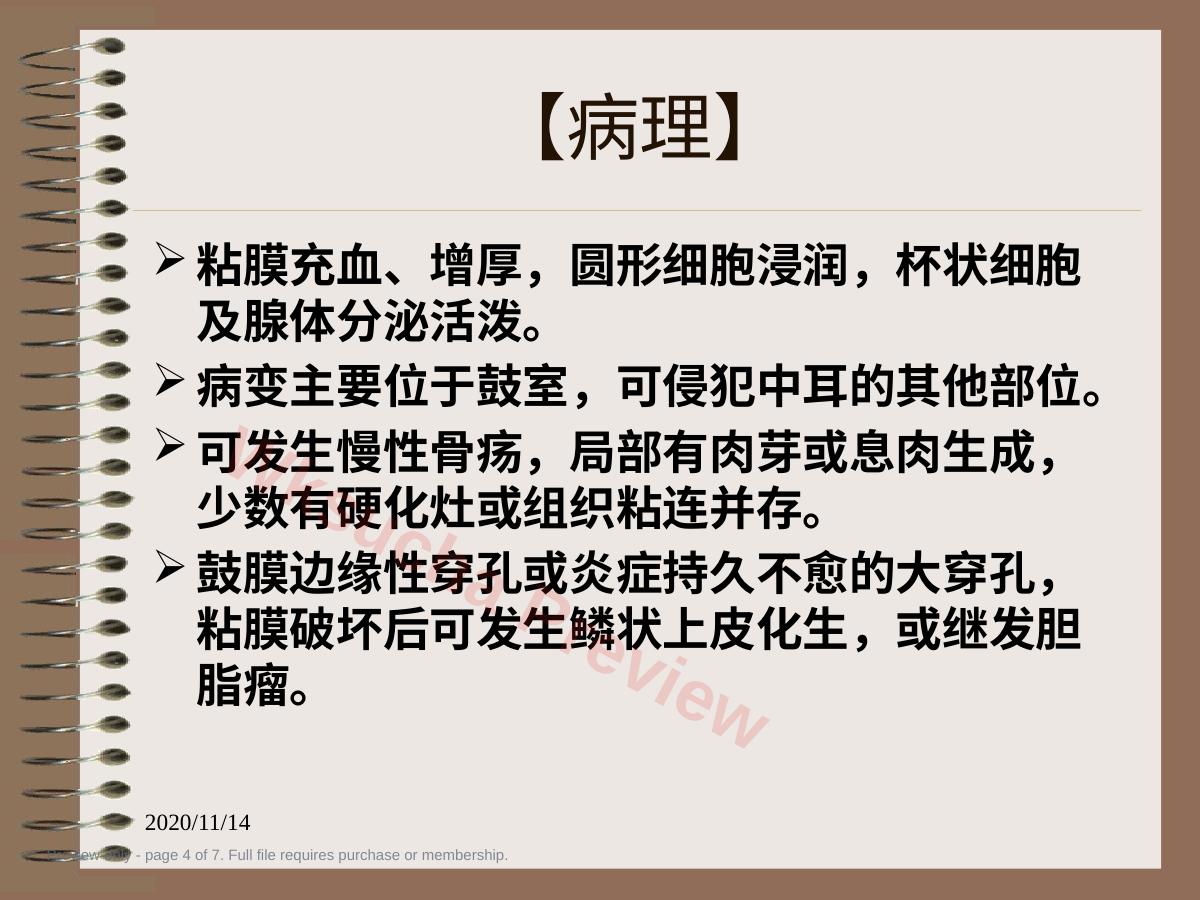 预览第 4 页
