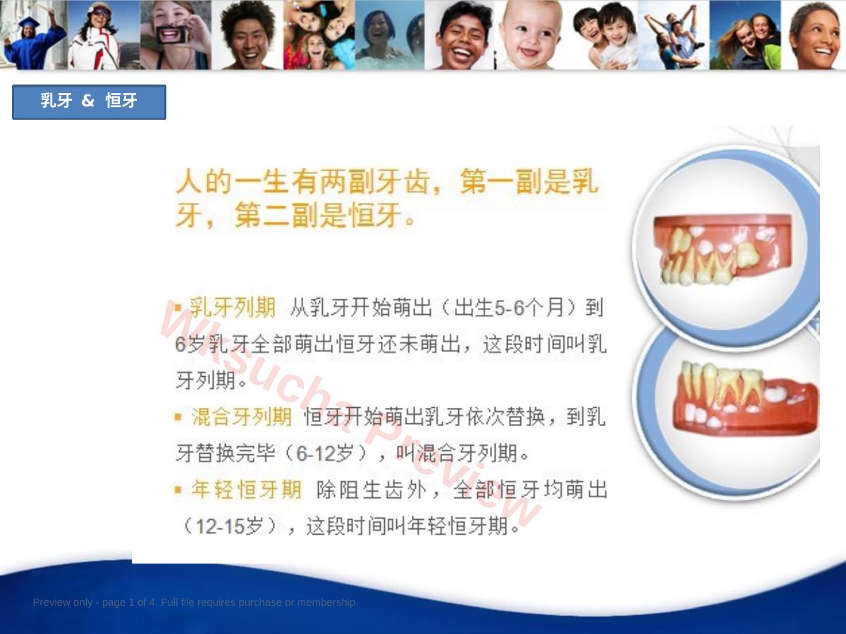口腔培训019.口腔基础知识