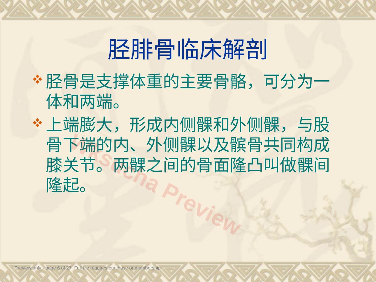 预览第 6 页