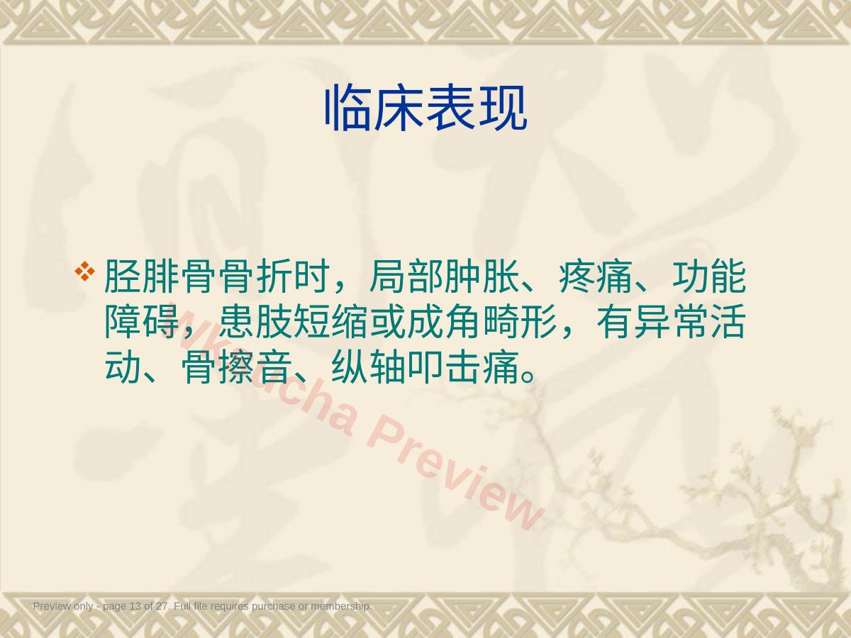 预览第 13 页