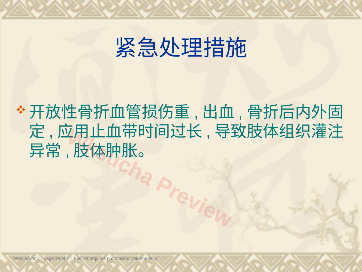 预览第 19 页