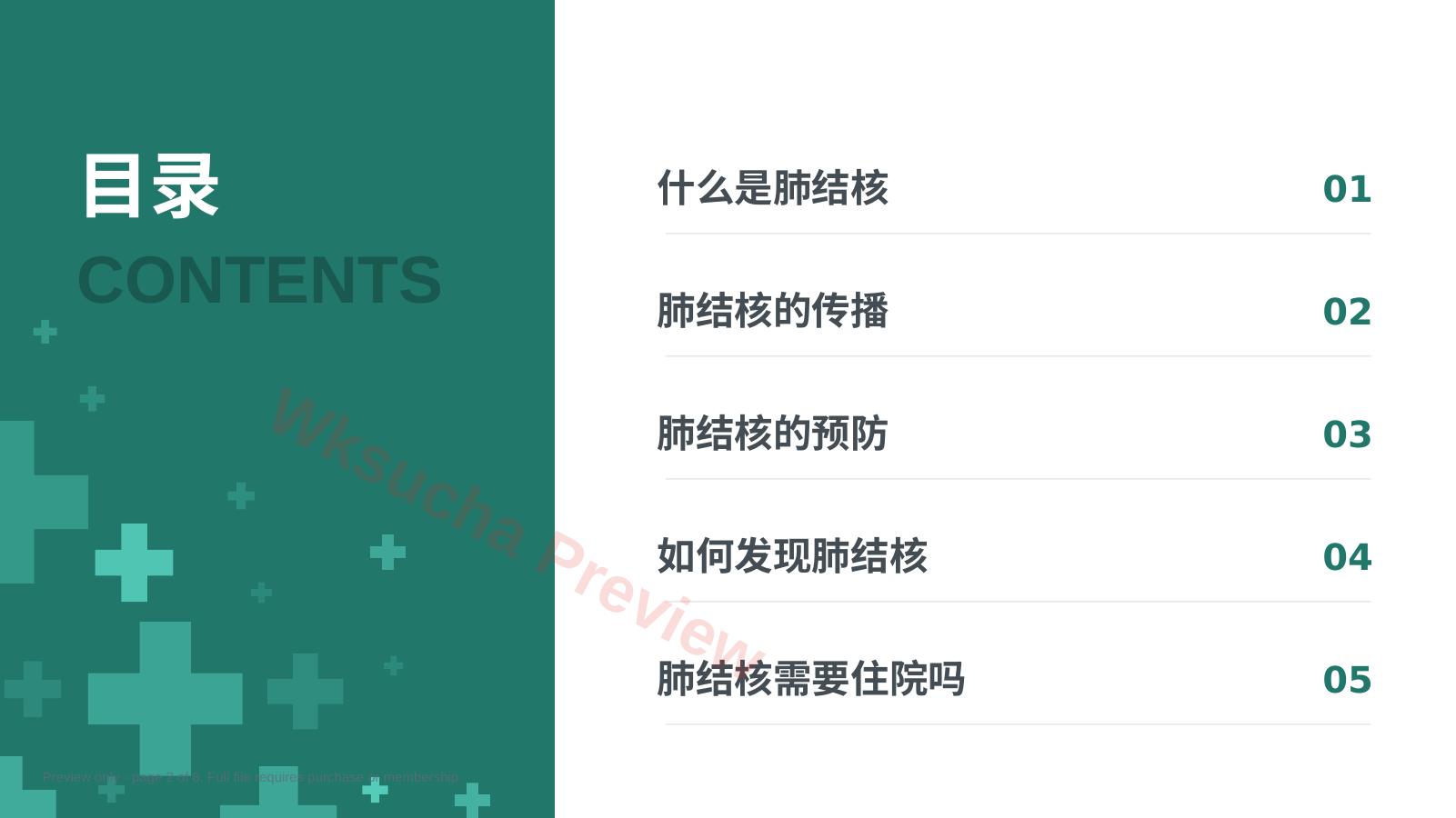预览第 2 页