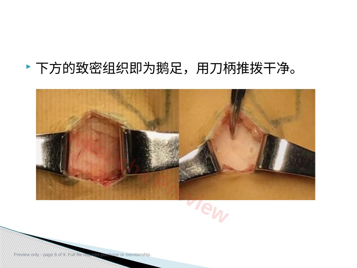 预览第 8 页