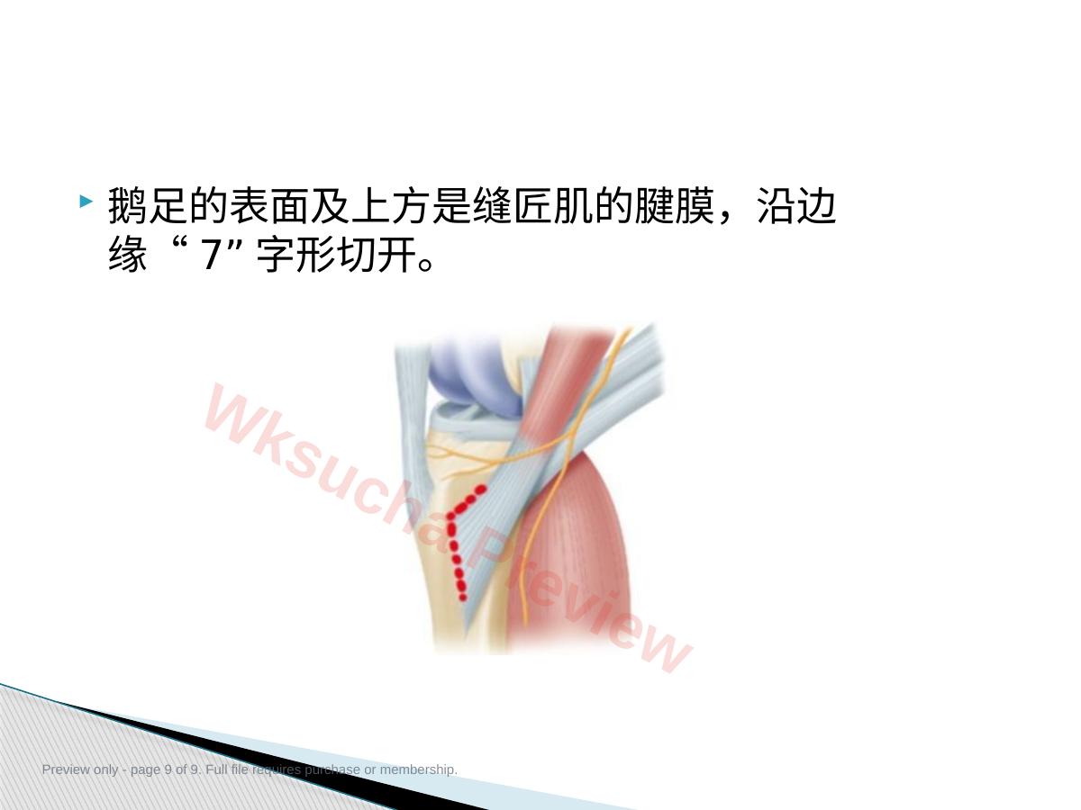 预览第 9 页