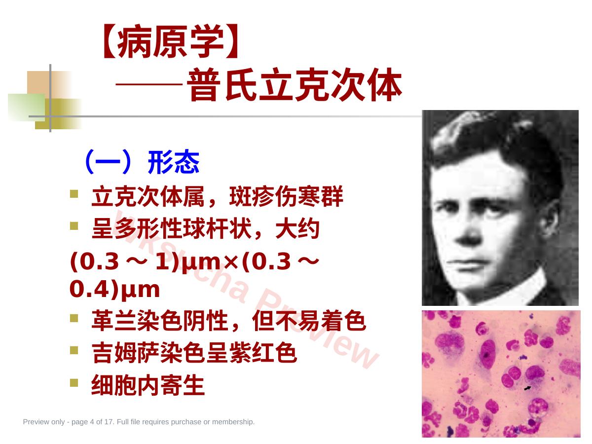 预览第 4 页