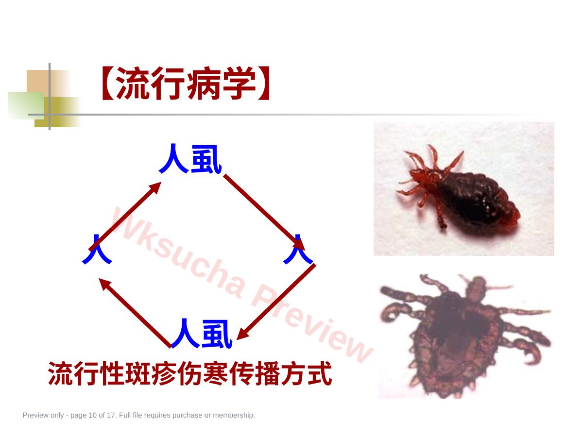 预览第 10 页