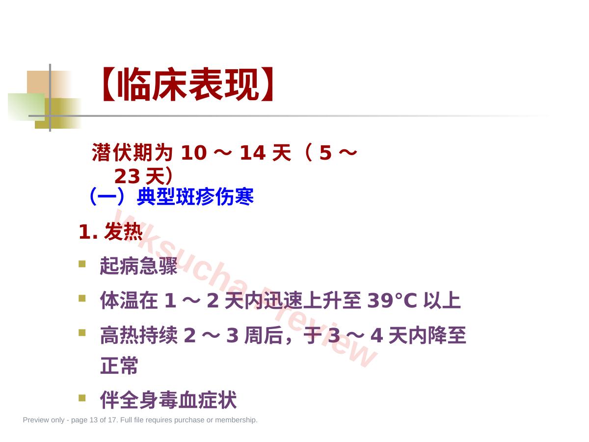 预览第 13 页