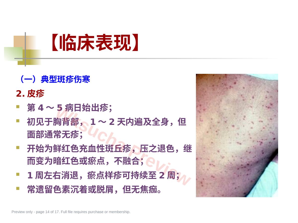 预览第 14 页