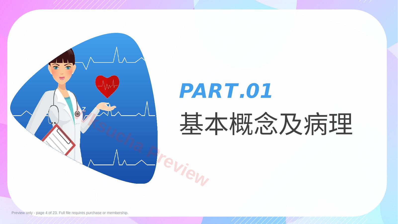 预览第 4 页