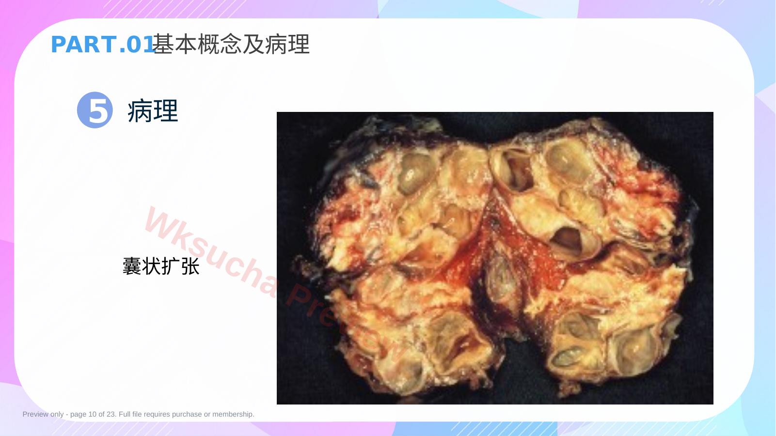 预览第 10 页