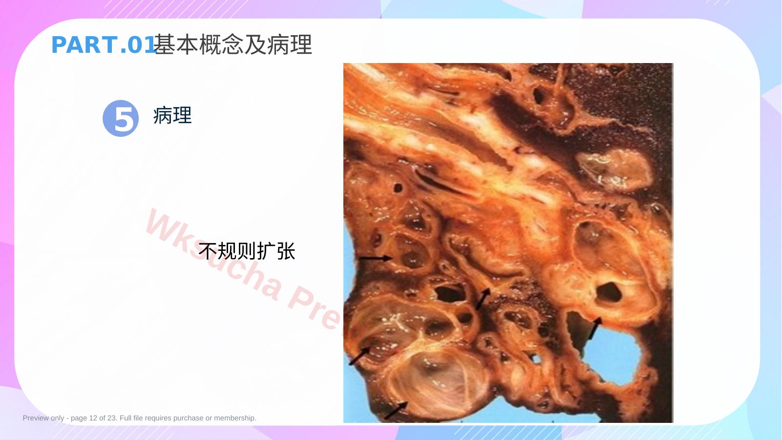 预览第 12 页