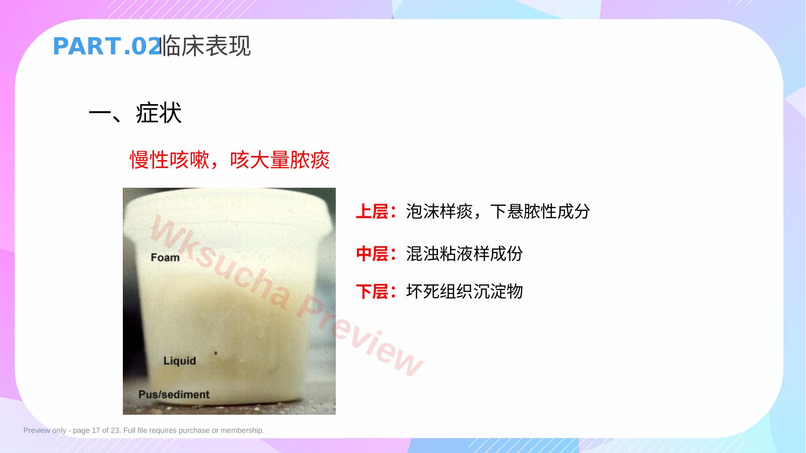 预览第 17 页