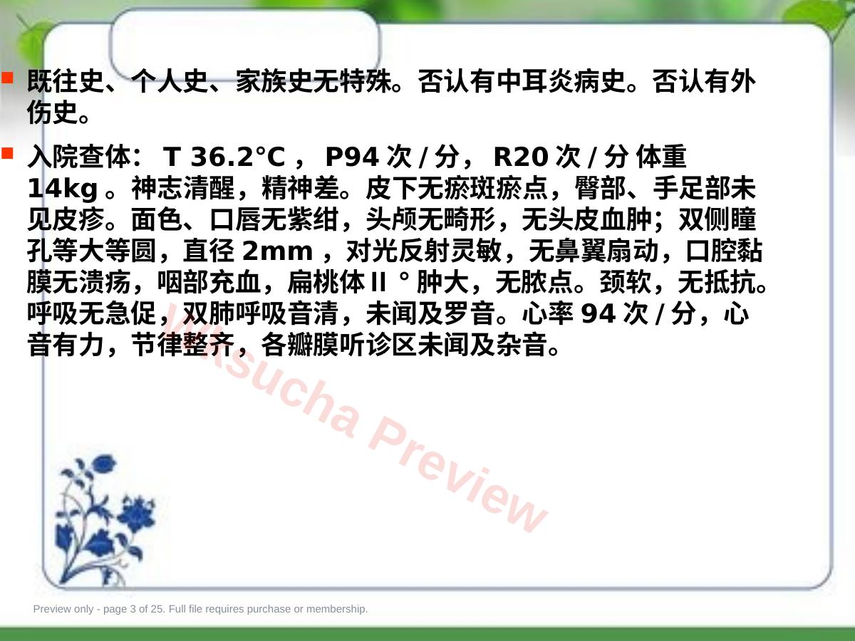 预览第 3 页