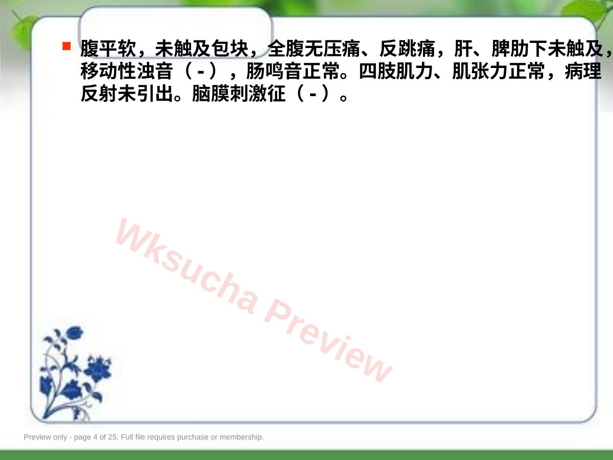 预览第 4 页