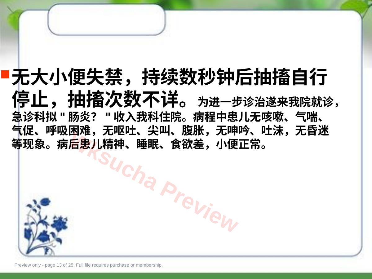 预览第 13 页