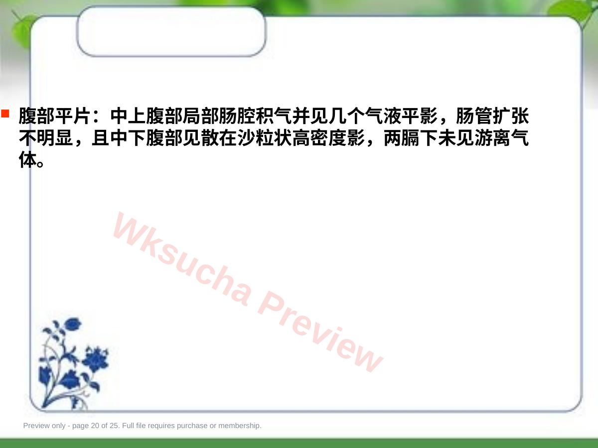 预览第 20 页
