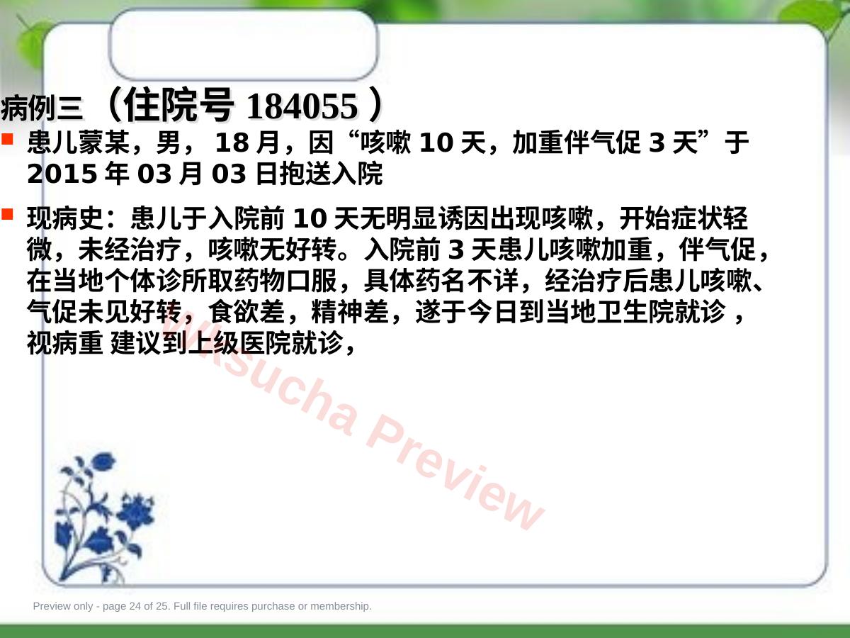 预览第 24 页