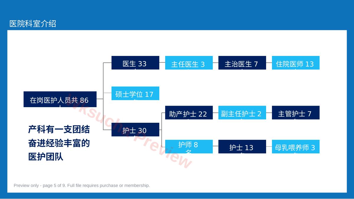 预览第 5 页