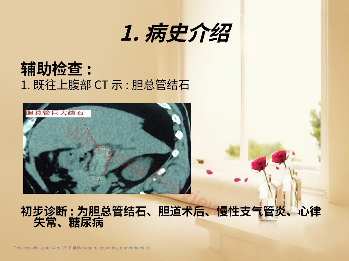 预览第 4 页